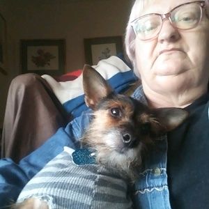 Meet your Posher, Ann